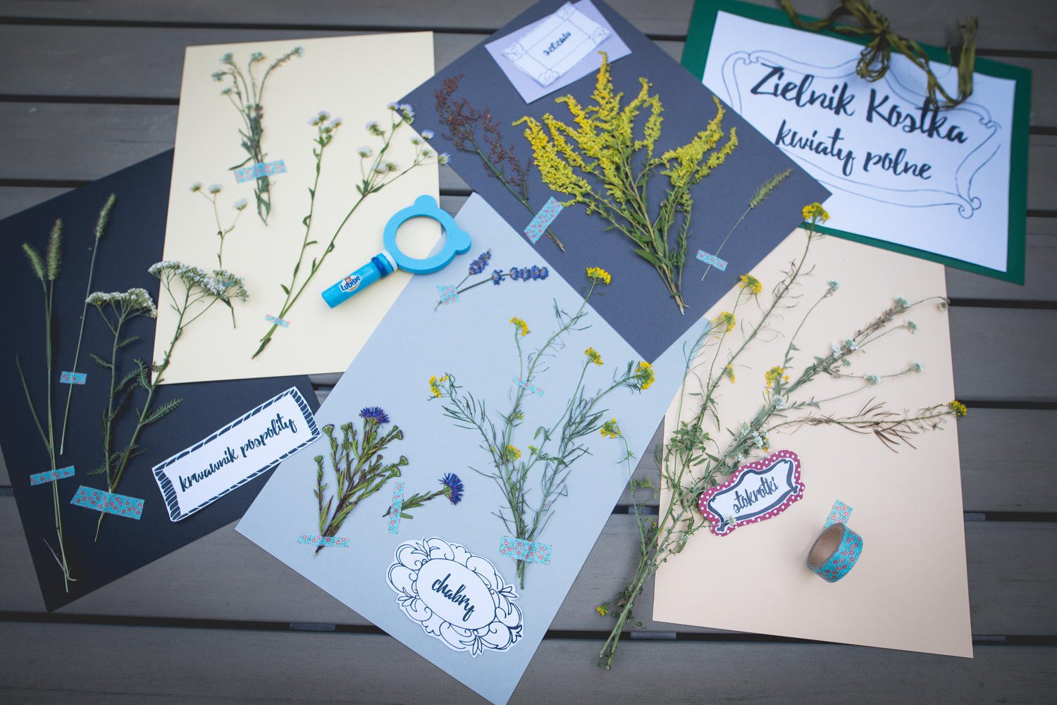 pomysły na naukowe zabawy z dzieckiem