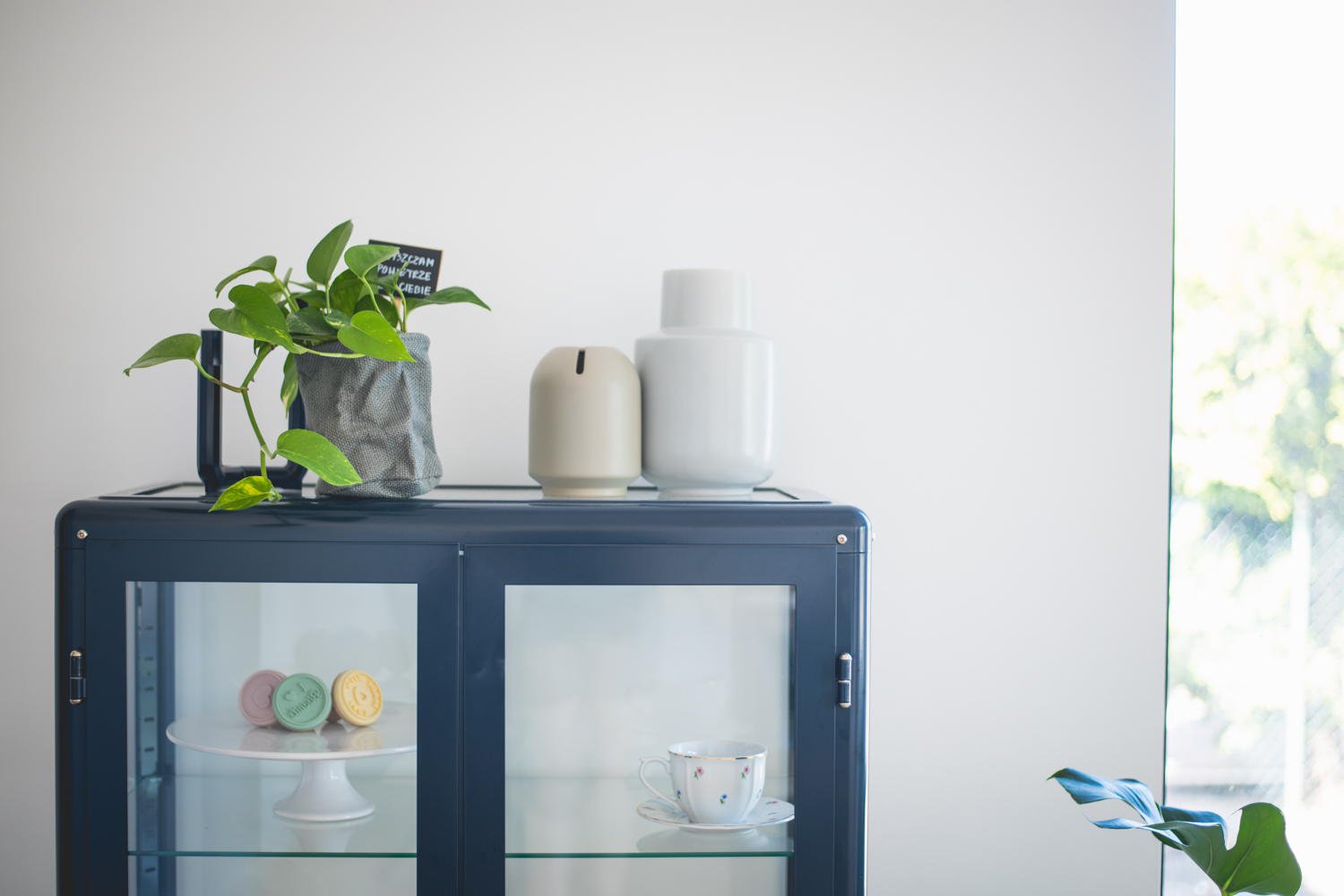 kwiaty doniczkowe domowe