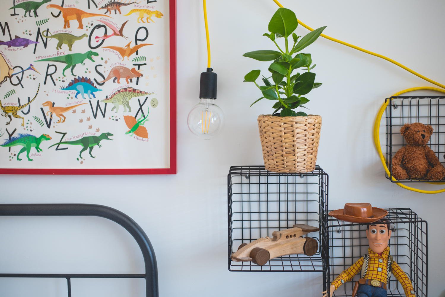 kwiaty doniczkowe domowe