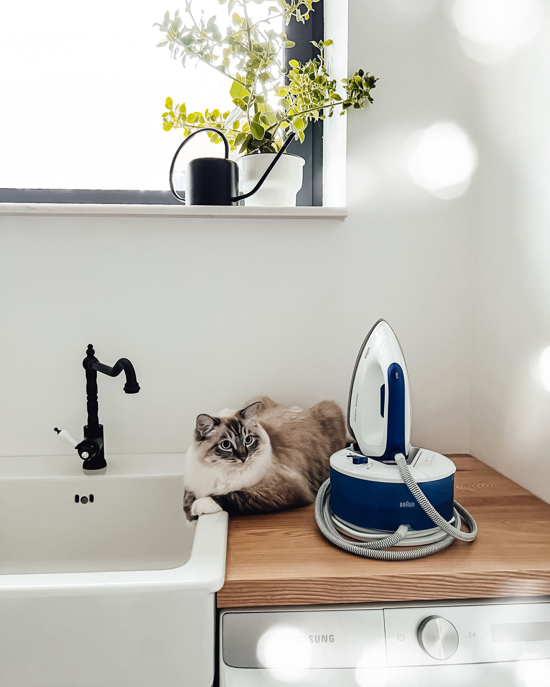 Braun CareStyle Compact