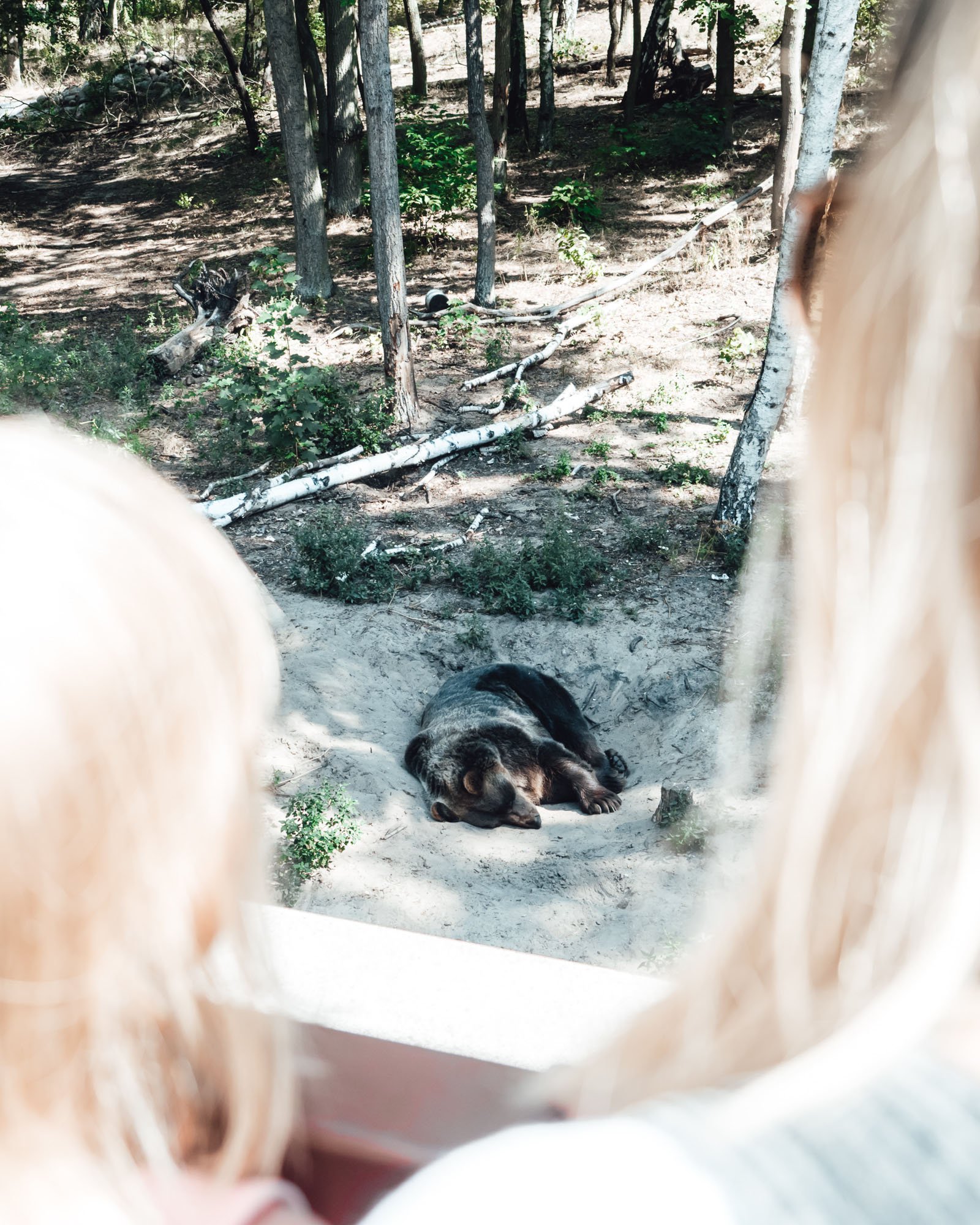 co warto zobaczyć w Poznaniu