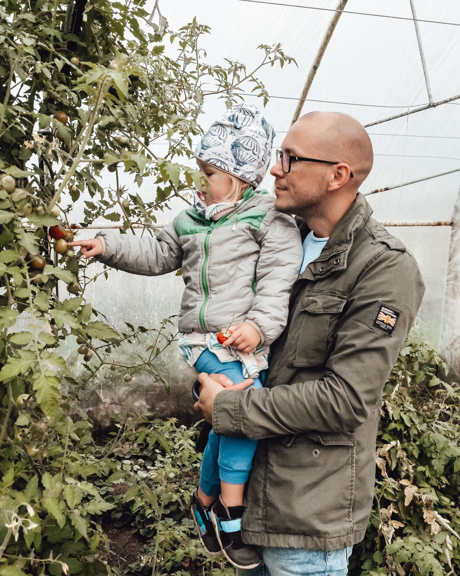 żywność ekologiczna