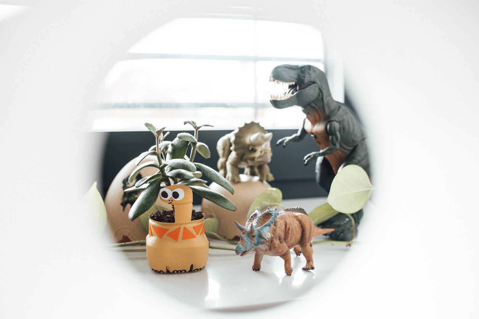 co zrobić z butelki